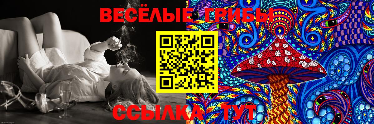 Псилоцибиновые грибы ЛСД  Вход с VPN  Псилоцибиновые грибы Psilocybine cubensis  Асино 